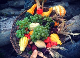 Top 5 Antioxidant Rich Fruits and Vegetables