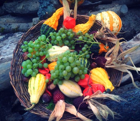 Top 5 Antioxidant Rich Fruits and Vegetables