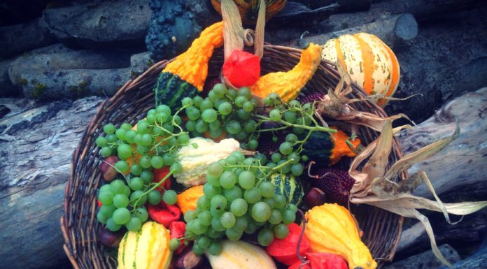 Top 5 Antioxidant Rich Fruits and Vegetables